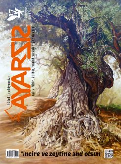 Ayarsız - Temmuz 2017 Sayı: 17