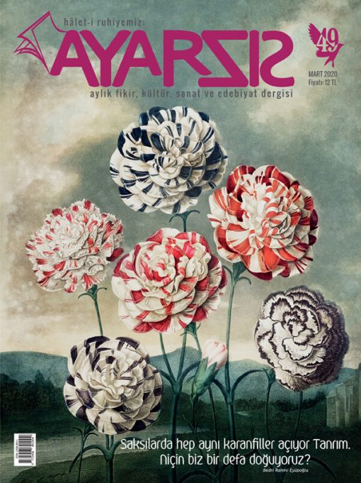Ayarsız - Mart 2020 Sayı: 49