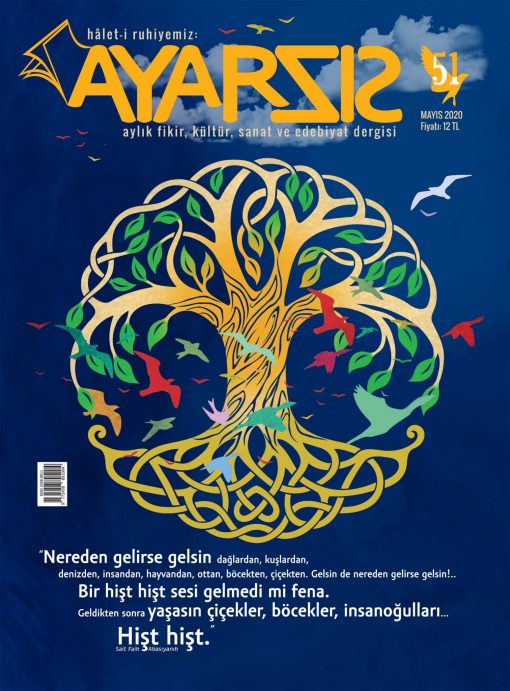 Ayarsız - Mayıs 2020 Sayı: 51