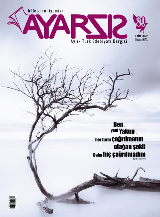 Hâlet-i ruhiyemiz: Ayarsız - Ekim 2022 Sayı: 80