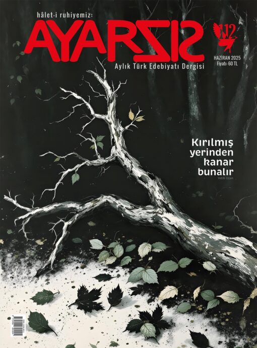 Ayarsız – Haziran 2025 Sayı: 112